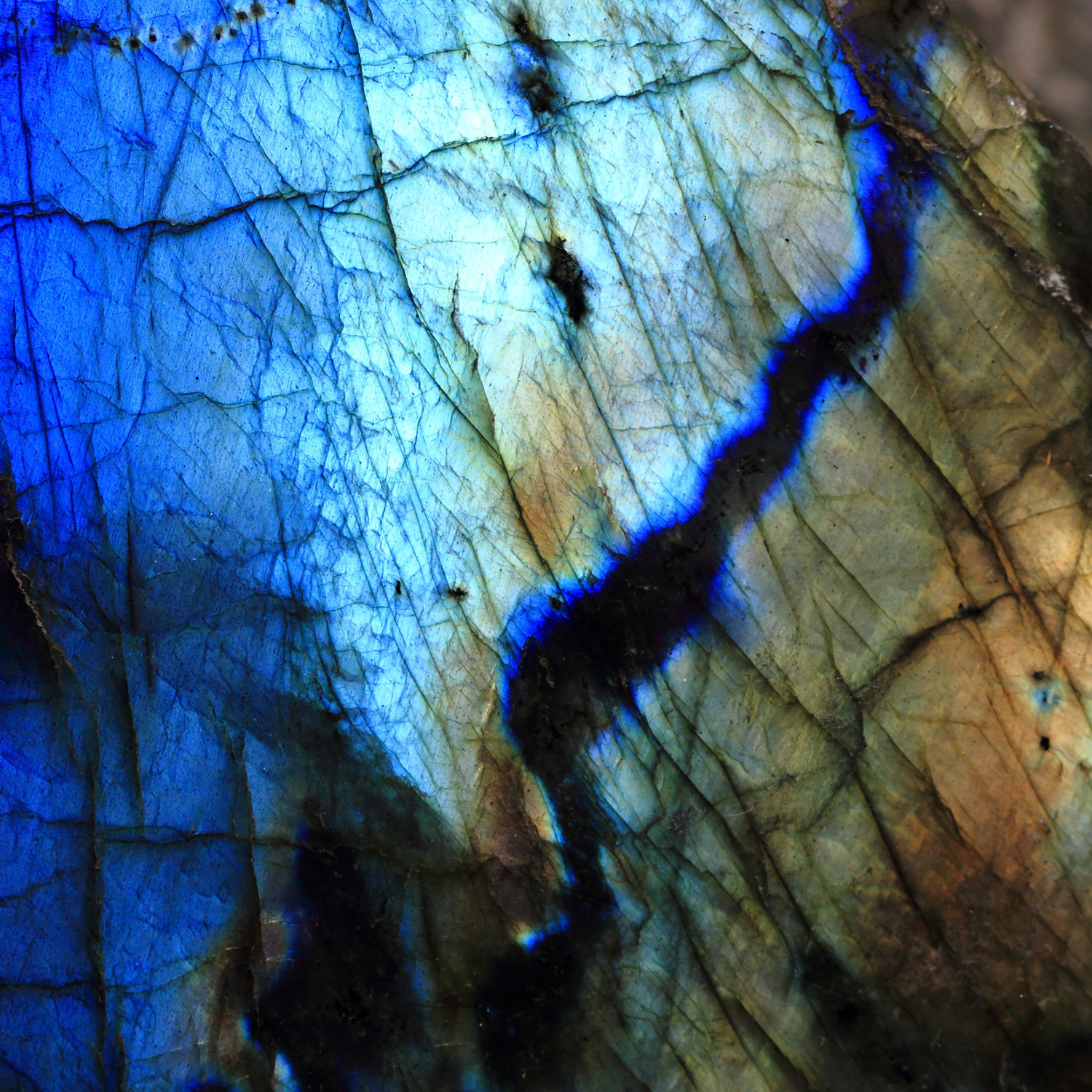 Labradorite