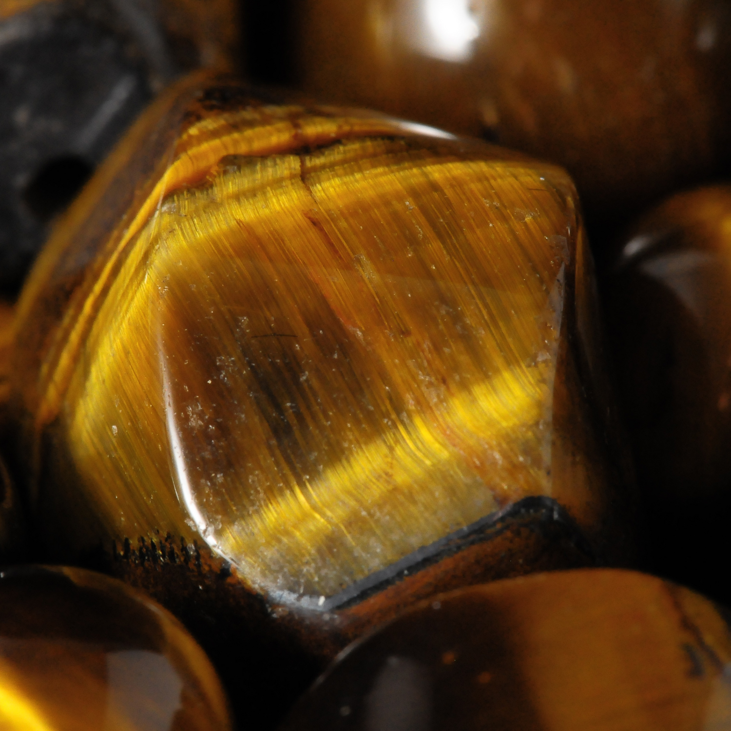 Tigers Eye