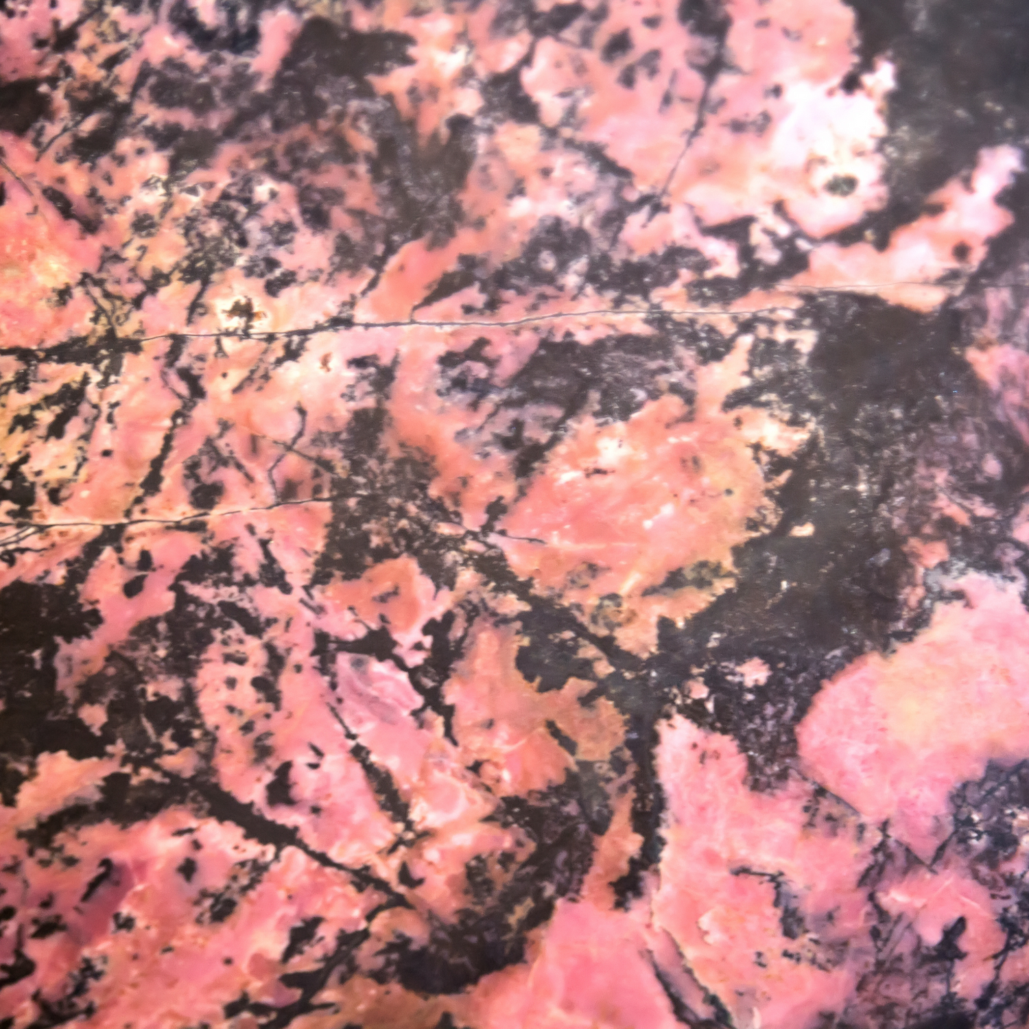 Rhodonite
