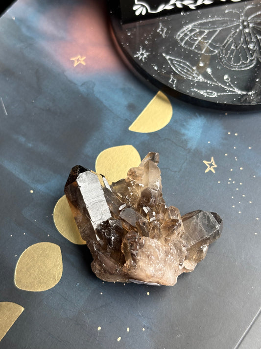 Smoky Quartz Cluster