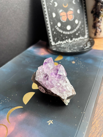 Amethyst Cluster