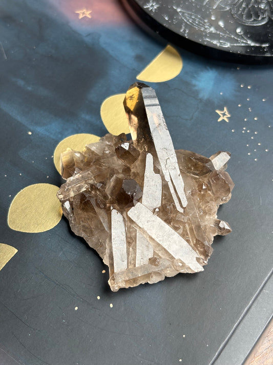 Smoky Quartz Cluster
