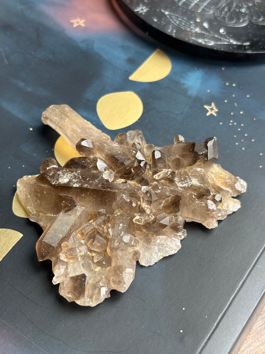 Smoky Quartz Cluster