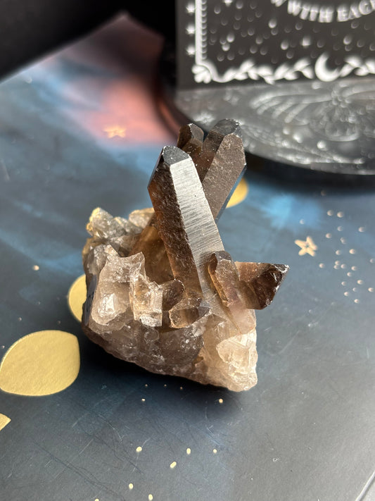 Smoky Quartz Cluster