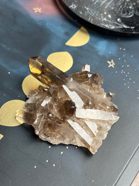 Smoky Quartz Cluster
