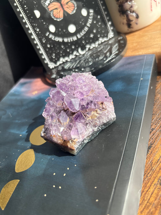 Amethyst Cluster