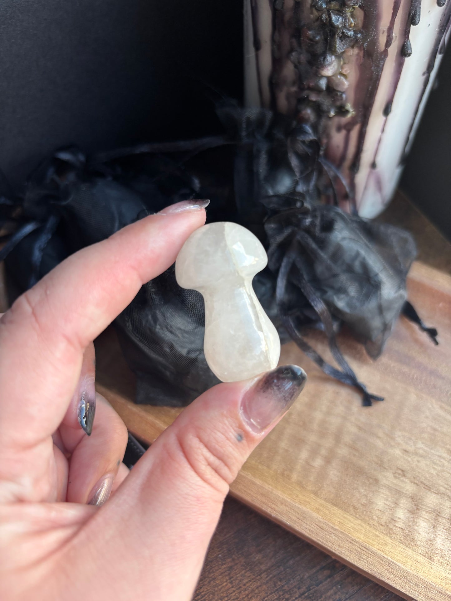 Mystery Mushrooms