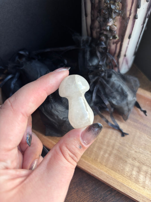 Mystery Mushrooms